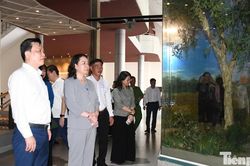 Phó Chủ tịch nước thăm căn cứ đầu não kháng chiến