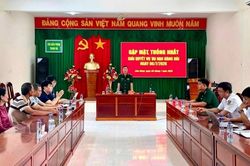 Vụ t&agrave;u c&aacute; bị t&agrave;u h&agrave;ng đ&acirc;m ch&igrave;m tr&ecirc;n biển: Thống nhất bồi thường hơn 2,5 tỷ đồng