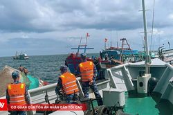 Kịp thời cứu tàu cá và 10 ngư dân gặp nạn trên biển