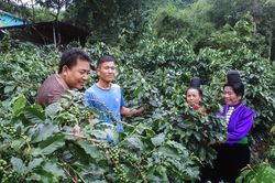 Bí thư 39 tuổi xóa '5 không' ở bản nghèo