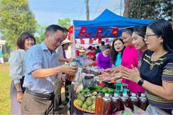 Gia Lai đặt mục tiêu trở thành điểm đến hàng đầu miền Trung - Tây Nguyên