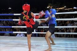 Bảo tồn, phát huy giá trị Võ cổ truyền Bình Định
