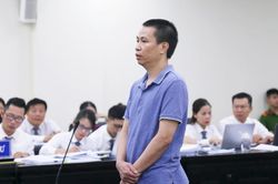 Ông chủ thực phẩm 'Baby Shark' đề nghị xem xét căn cứ xác định hàng giả