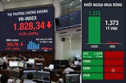VN-Index giảm hơn 12 điểm: Khối ngoại 'gom' ròng nghìn tỷ cổ phiếu VIC