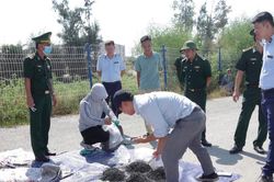 Hải Phòng: Bắt giữ 116 vụ với 156 đối tượng vi phạm về buôn lậu