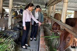 Đồng vốn chính sách vun đắp những mùa no ấm trên vùng đất Gia Lai