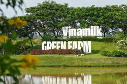 Vinamilk đóng góp gần 45% tổng cổ tức SCIC thu được trong năm 2025