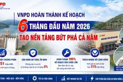 VNPD hoàn thành kế hoạch sản xuất kinh doanh 6 tháng đầu năm 2026, tạo đà bứt phá cả năm