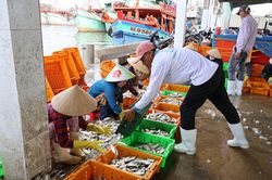 Gi&aacute; dầu hạ nhiệt, ngư d&acirc;n trở lại ngư trường
