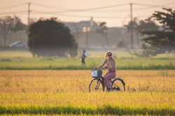 Giữ vùng đệm văn hóa cho đô thị di sản