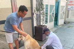 Tiềm ẩn nguy cơ mất an toàn do chó, mèo thả rông