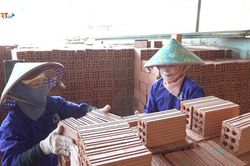 Hợp t&aacute;c x&atilde; g&oacute;p phần giải quyết việc l&agrave;m cho lao động địa phương