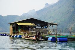 Khai thác tiềm năng mặt nước phát triển thủy sản