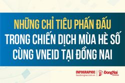 [Infographic] Các chỉ tiêu phấn đấu trong Chiến dịch Mùa hè số cùng VNeID tại Đồng Nai cụ thể ra sao?