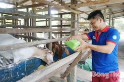 Xã Tân Phú Trung: Nguồn vốn tín dụng chính sách tiếp sức người dân phát triển kinh tế