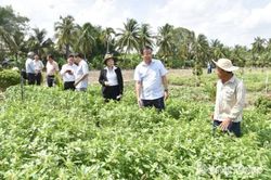 Đồng chí Nguyễn Phước Thiện khảo sát thực tế vùng rau ăn lá bị thiệt hại chưa rõ nguyên nhân