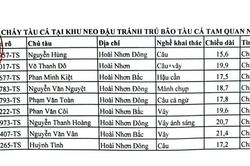 Vụ cháy tàu tại Cảng cá Tam Quan gây thiệt hại hơn 20 tỷ đồng