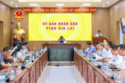 Tập huấn kê khai, lập hồ sơ đăng ký và cập nhật cơ sở dữ liệu đất đai