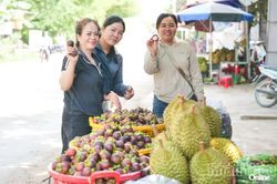 Tìm về vị ngọt Lâm Sơn