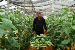 Tiếp sức cho nông dân