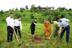 Trao tặng 405 cây xanh trong chương trình 'chùa xanh' tại chùa Linh Sơn