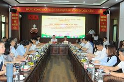 Lào Cai phản biện dự thảo chính sách thu hút nhân lực chất lượng cao giai đoạn 2026 - 2030