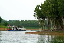 Cây tràm mở hướng phát triển vùng bán ngập hồ Thác Bà