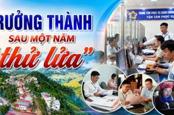 Trưởng th&agrave;nh sau một năm 'thử lửa'