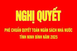 Nghị quyết phê chuẩn quyết toán ngân sách nhà nước tỉnh Ninh Bình năm 2025