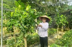 Từ đam mê đến thương hiệu Trà hoa vàng