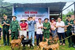 Bộ đội Biên phòng triển khai nhiều hoạt động hỗ trợ người dân vùng biên giới