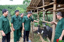 Phong tr&agrave;o l&agrave;m kinh tế của CCB Mường Chanh