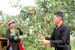 Khơi nguồn phát triển
