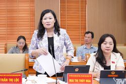 Thẩm tra c&aacute;c b&aacute;o c&aacute;o, tờ tr&igrave;nh tại Kỳ họp thứ năm HĐND tỉnh Th&aacute;i Nguy&ecirc;n