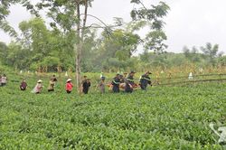 T&igrave;m thấy thi thể ch&aacute;u b&eacute; mất t&iacute;ch do lũ cuốn tại x&atilde; Ph&uacute; Đ&igrave;nh