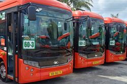 Sử dụng xe bu&yacute;t điện tr&ecirc;n hai tuyến 603 v&agrave; 605 kết nối Đồng Nai - TP.HCM