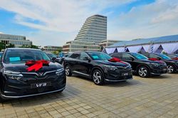 Hải Ph&ograve;ng trang bị 99 xe &ocirc; t&ocirc; điện cho c&aacute;c x&atilde;, phường, đặc khu l&agrave;m xe c&ocirc;ng vụ
