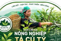Đánh thức 'vàng xanh' giữa đại ngàn Tây Bắc
