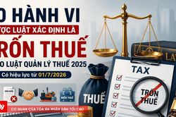 10 hành vi bị coi là trốn thuế từ ngày 01/7/2026