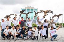 Chơi chim săn mồi đúng pháp luật
