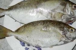 Đặc sản miền Trung khiến nhiều thực khách 'ghiền' ngay từ lần đầu thưởng thức: Thịt chắc, ngọt tự nhiên, chiên hay nấu canh đều hấp dẫn