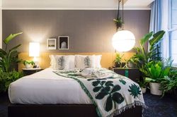 Không phải cây nào cũng hợp phòng ngủ: 5 lựa chọn được nhiều người yêu thích vì lý do này