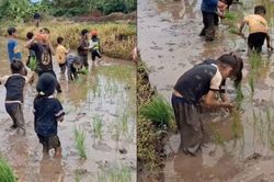 Xem 'khối nghỉ hè' cấy lúa, dân mạng gọi là con nhà người ta trong truyền thuyết