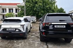 Sử dụng giấy tờ, biển số giả, có thể bị truy cứu trách nhiệm hình sự