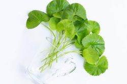 3 c&ocirc;ng dụng của chiết xuất rau m&aacute; trong chăm s&oacute;c da