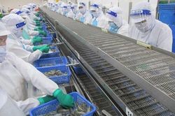 Cảnh 'bi đát' của công ty đầu tiên báo lỗ quý II