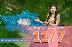 [Video] Dự báo thời tiết ngày 11/7/2026: Nắng tăng trở lại tại Bắc Bộ và Trung Bộ, chiều tối rải rác mưa dông