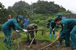 Sơn La đẩy nhanh xác định danh tính hài cốt liệt sĩ bằng công nghệ ADN