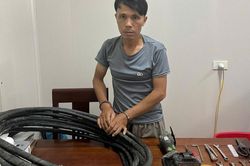 Đạo ch&iacute;ch chuy&ecirc;n cắt d&acirc;y c&aacute;p điện sa lưới