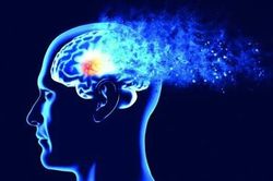 Phát hiện các protein độc hại 'tiền trạm' cho bệnh Alzheimer